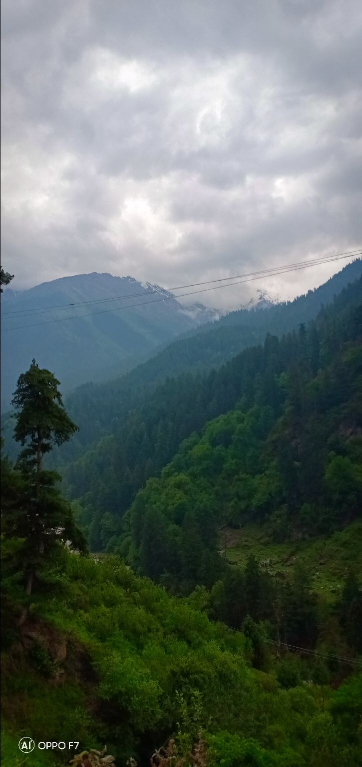 Photo of Himalachal diaries by Siddharth Singh Negi