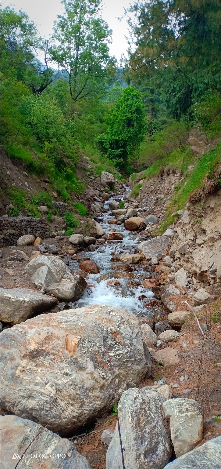 Photo of Himalachal diaries by Siddharth Singh Negi
