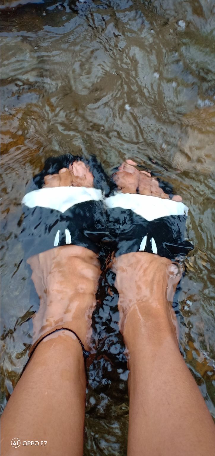 Photo of Himalachal diaries by Siddharth Singh Negi
