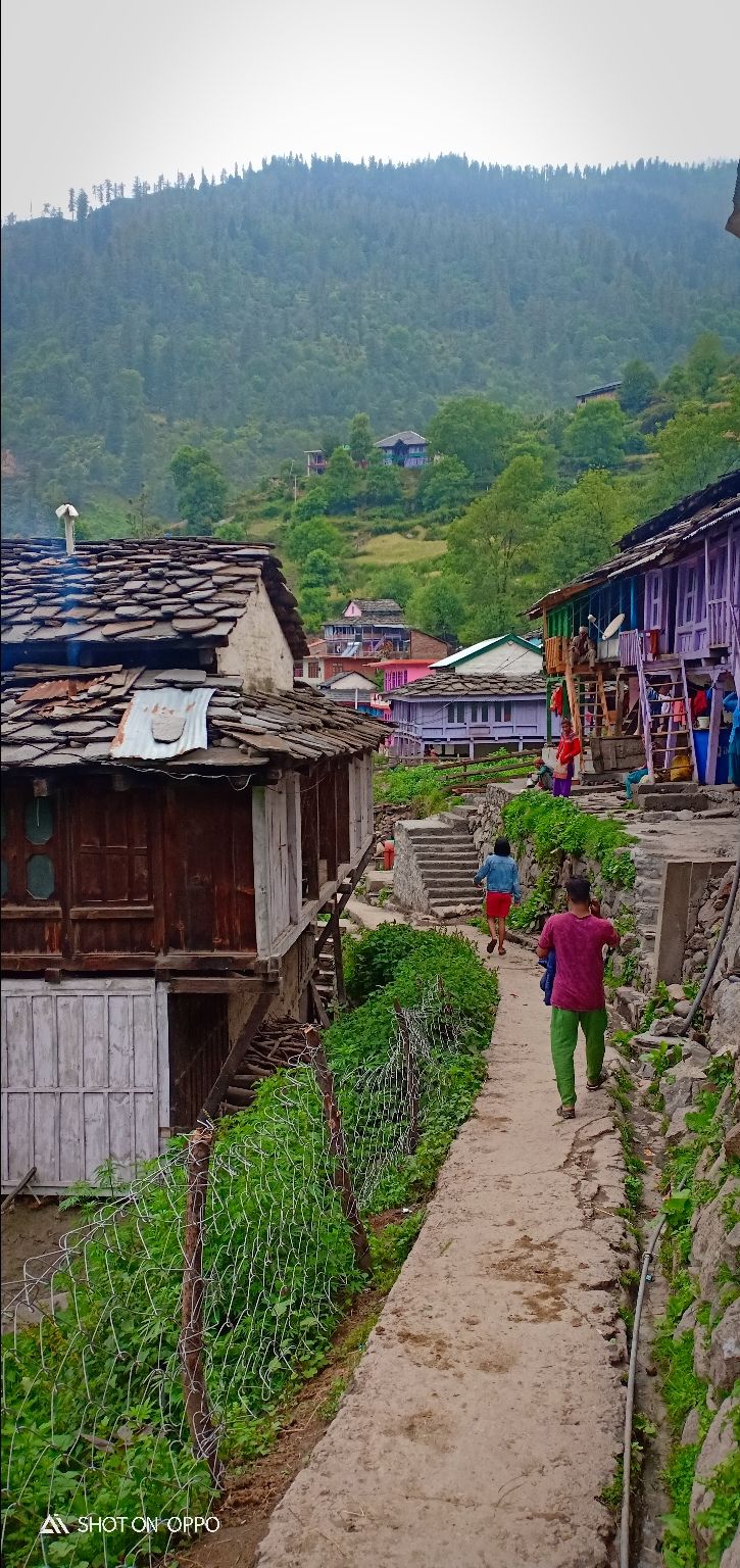 Photo of Himalachal diaries by Siddharth Singh Negi