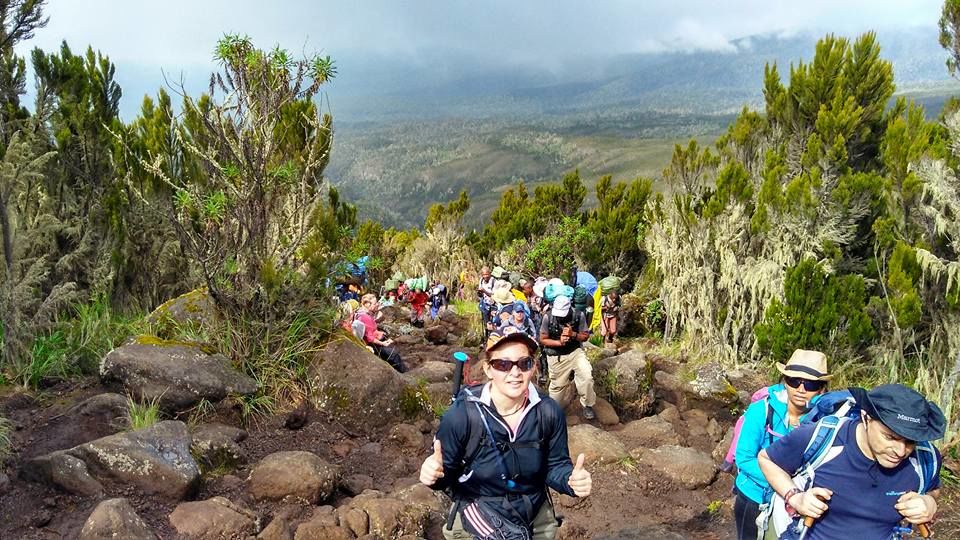 Photo of Climb mt Kilimanjaro via Lemosho Route 1/1 by Fredrick Wilbert