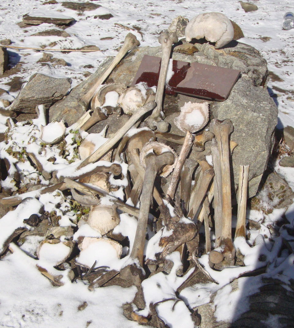 Photo of My First Trek : Roopkund - The Mysterious Skeleton Lake 9/26 by SUDHANSU MOHAN SATPATHY