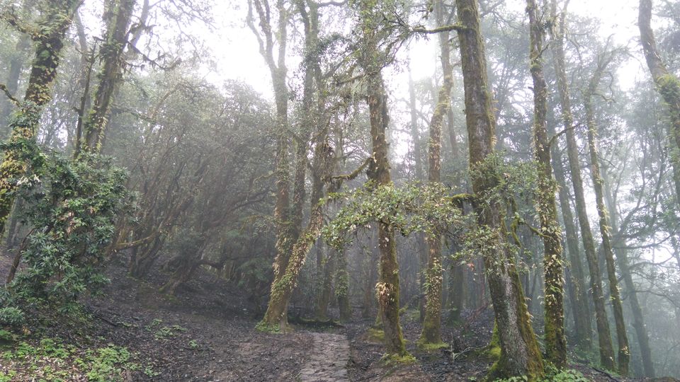Photo of My First Trek : Roopkund - The Mysterious Skeleton Lake 10/26 by SUDHANSU MOHAN SATPATHY