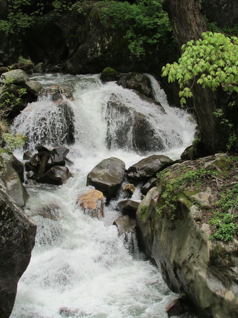 Photo of #TripotoTakeMeToSandakhpu Everything is better in the mountains❤ by Grishma Jaisinghani