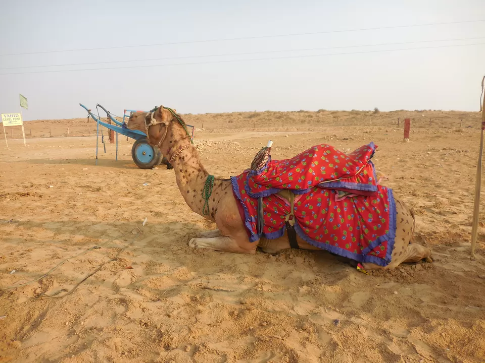 Photo of Thar Desert, Rajasthan, India by Jatin Goswami