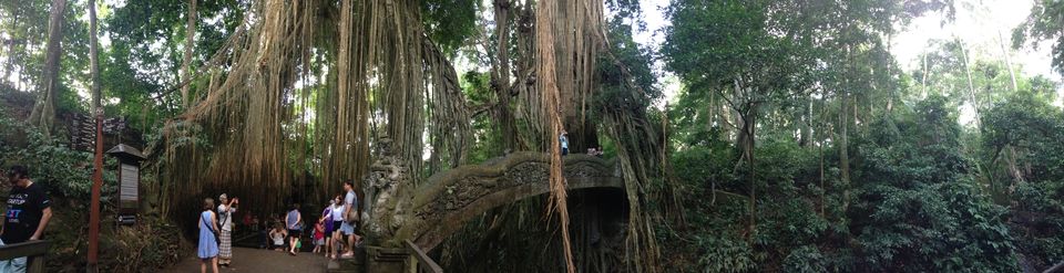 Photo of 7 days in paradise called Bali – A place with something for everyone 12/21 by Abhinav Ranjan