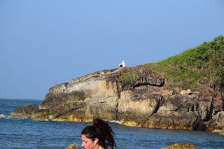 Photo of Travel Diary Day 5 & 6 Gokarna: A place where every journey is a destination 13/18 by Abhinav Ranjan