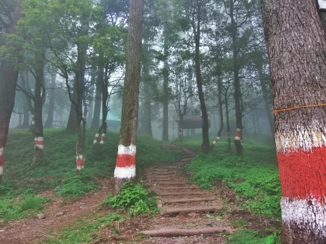 Photo of The Solo Experience - Dhanaulti by chandanirajat1