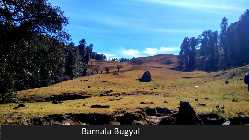 Photo of Barsu, Uttarakhand, India by Ayush Maheshwari