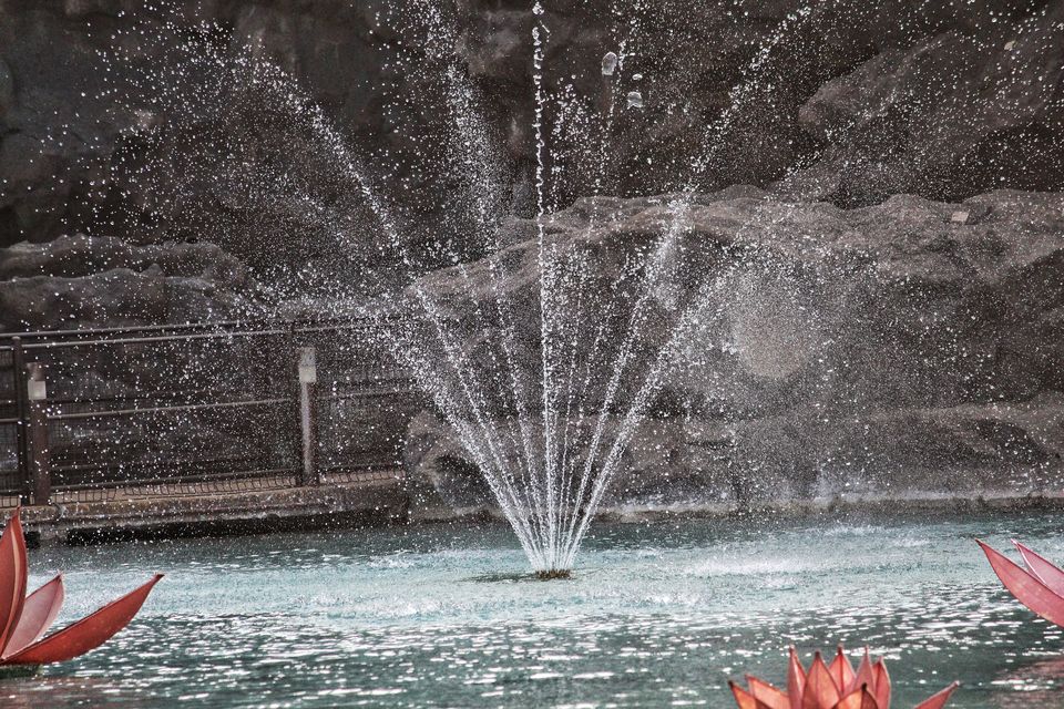 Photo of Imagica: A Theme Park That Will Delight Your Family And Brighten Their Weekend by Dipti Pathare