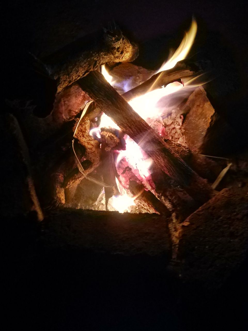 Photo of Thrill Camps, Tikona Peth, Maharashtra, India by Dipti Pathare