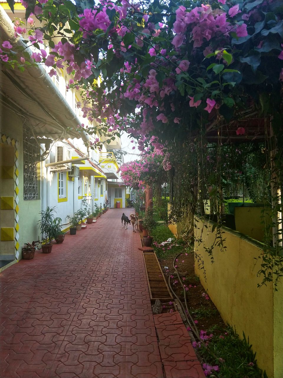 Photo of Weekend Getaway!! 4/42 by Dipti Pathare