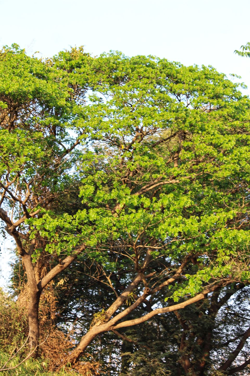 Photo of Weekend Getaway!! 27/42 by Dipti Pathare