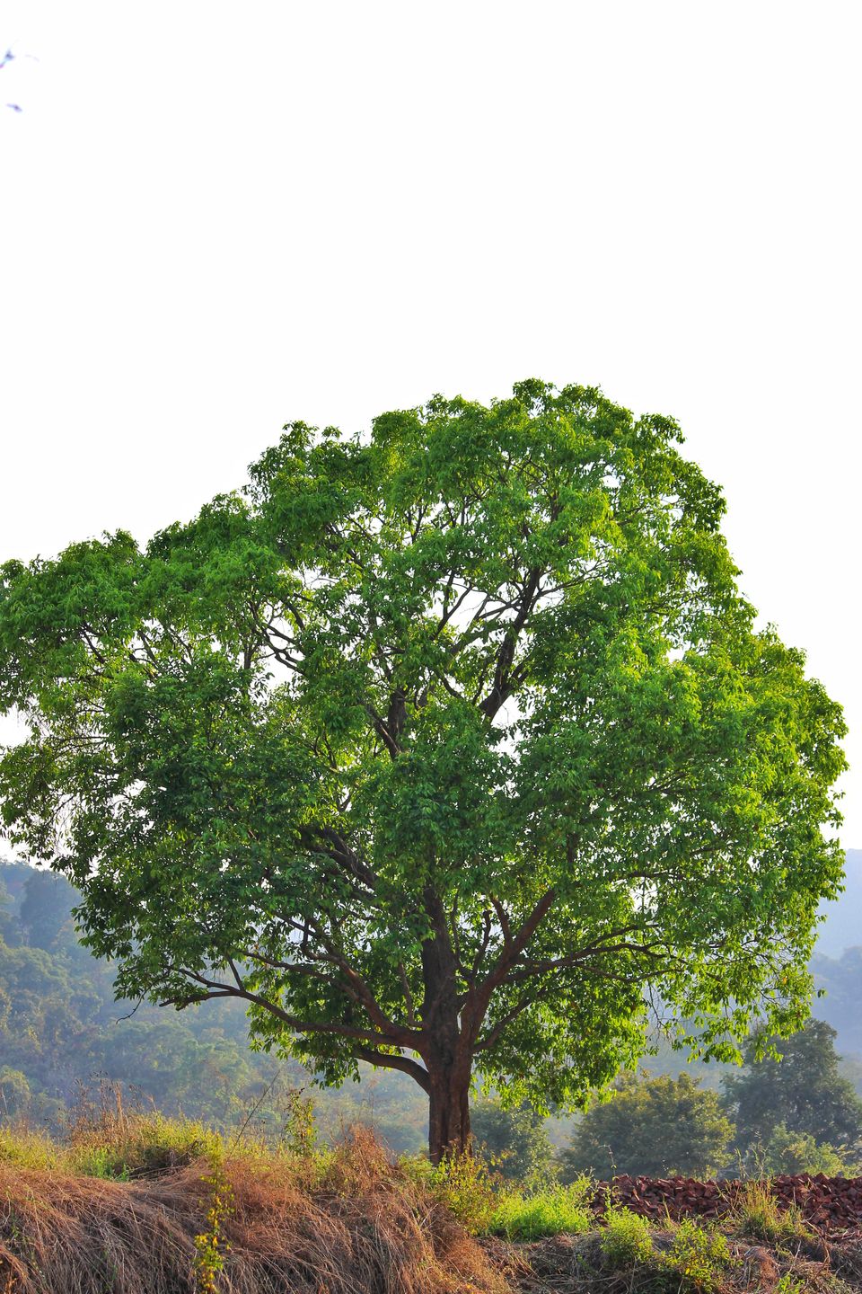 Photo of Weekend Getaway!! 29/42 by Dipti Pathare