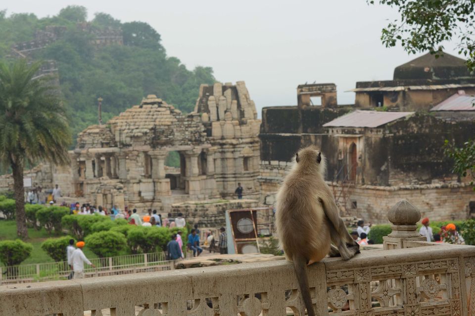 Photo of Chittorgarh Fort, Chittorgarh, Rajasthan, India by Nityananda Mukherjee