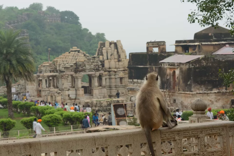 Photo of Chittorgarh Fort, Chittorgarh, Rajasthan, India by Nityananda Mukherjee