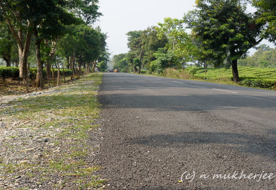 Photo of Unexplored hill Stations near Kalimpong - Charkole, Lolegaon, Lava & Rishap (Rishyap) - Part - I 1/4 by Nityananda Mukherjee