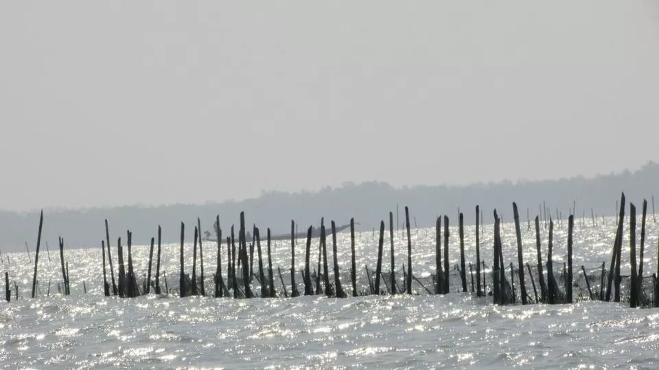 Photo of Chilika Lake, Odisha, India by Thetravelcoholic