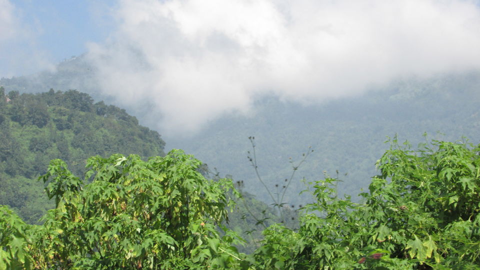 Photo of Darjeeling : The unplanned , the best one.. by Thetravelcoholic
