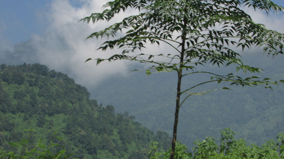 Photo of Darjeeling : The unplanned , the best one.. by Thetravelcoholic