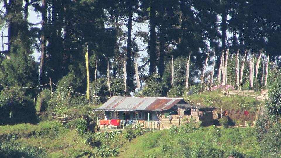 Photo of Darjeeling : The unplanned , the best one.. by Thetravelcoholic