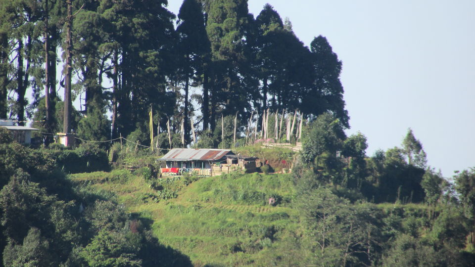 Photo of Darjeeling : The unplanned , the best one.. by Thetravelcoholic