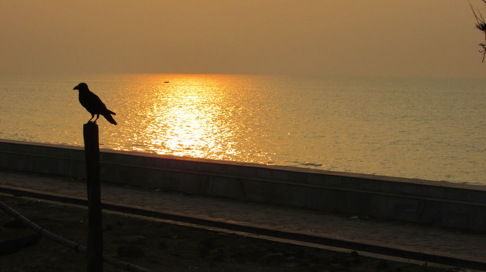Photo of Shankarpur : calm and relax .... by Travelocoholic