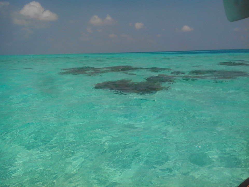Photo of Enchanted islands of Lakshadweep 2/12 by Pankaj Modi