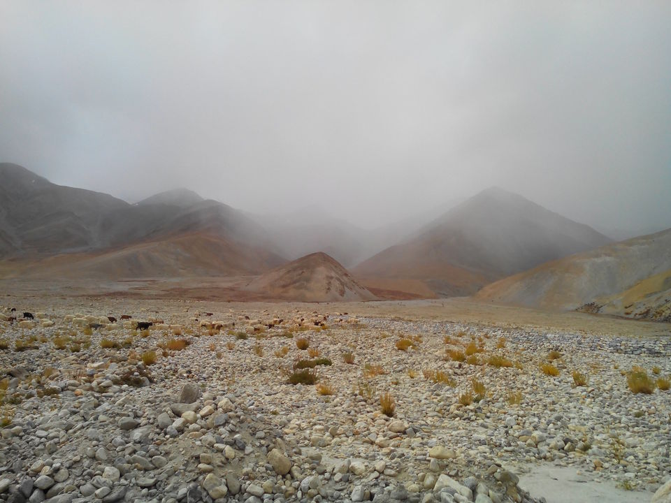 Photo of Leh - Pangong Tso Lake - Kardungla pass 20/35 by Pankaj Modi
