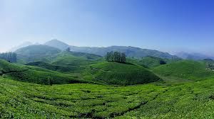Photo of 9 places that aren't on your bucket list 3/9 by Arali Bedandbreakfast