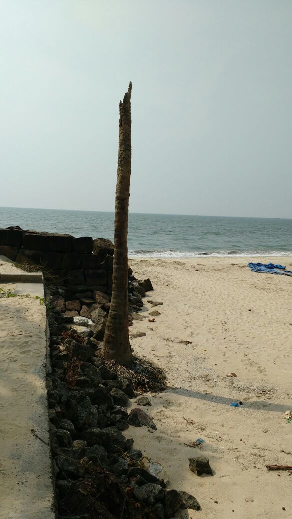 Photo of Alappuzha and Andhakaranazhy Beach 4/5 by Arali Bedandbreakfast
