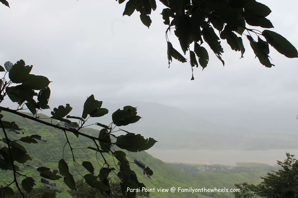 Photo of Meet the land of Strawberry, lush green meadows and waterfalls : Panchgani 3/6 by jhilmil