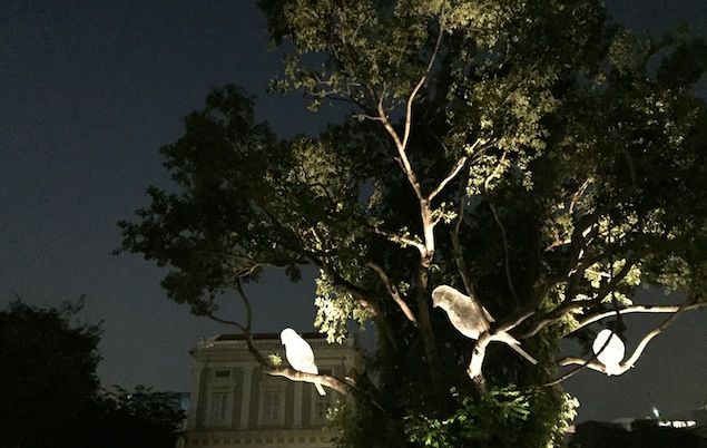 Photo of Plan a Trip to Borneo during the Bird Festival 1/1 by Travel Singapore