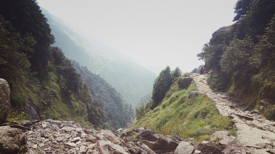 Photo of TRIUND AT MCLEOD GANJ - THE HAPPY PLACE 3/8 by NomadicSaga