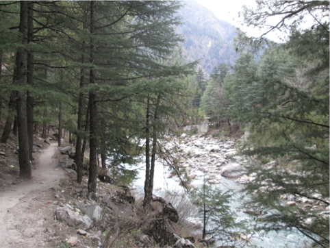 Photo of THE HIGHLAND OF INDIA : KASOL & TOSH by NomadicSaga