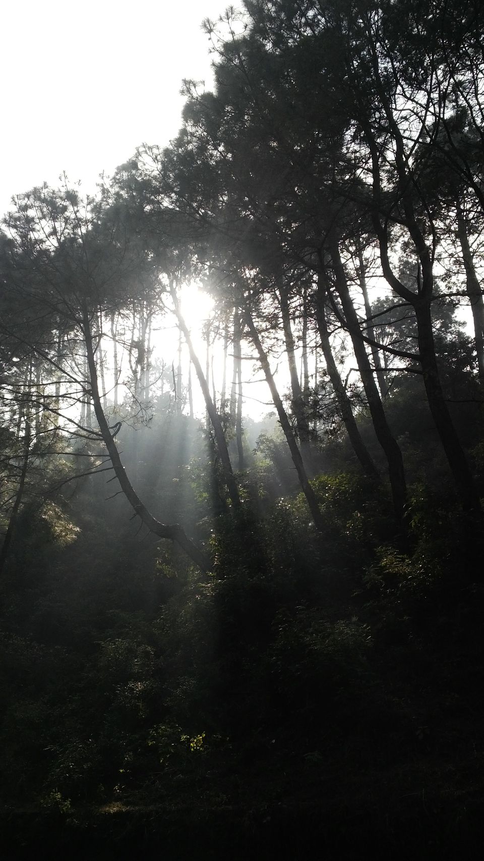 Photo of Weekend Gateway to Beautiful Dalhousie 6/20 by Sabyasachi Mukherjee