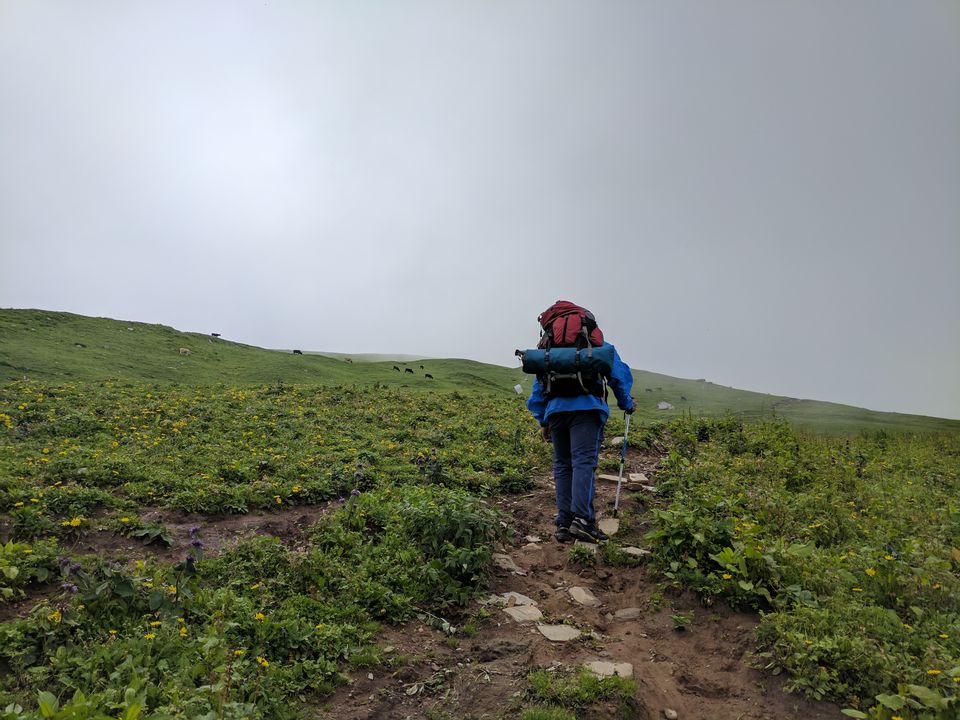 Photo of How to Plan a Trek to Bhrigu Lake without a Guide! 3/13 by Sonali Verma | Unfoldingwaves