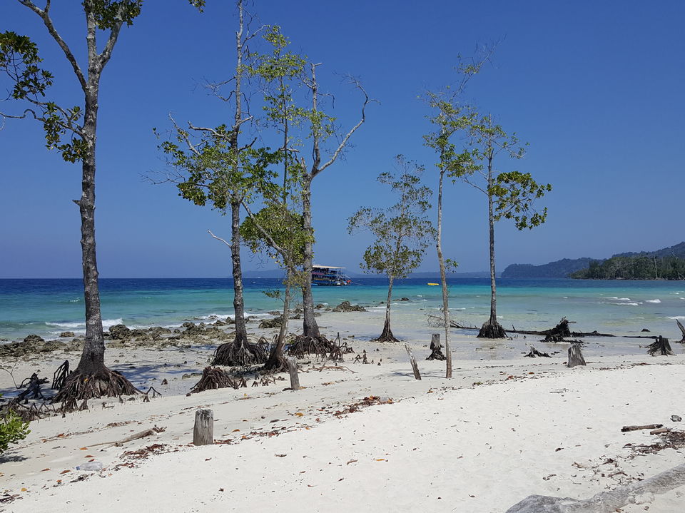 Photo of The Heavenly Havelock Islands by Zaid