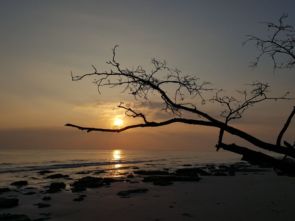 Photo of The Heavenly Havelock Islands by Zaid