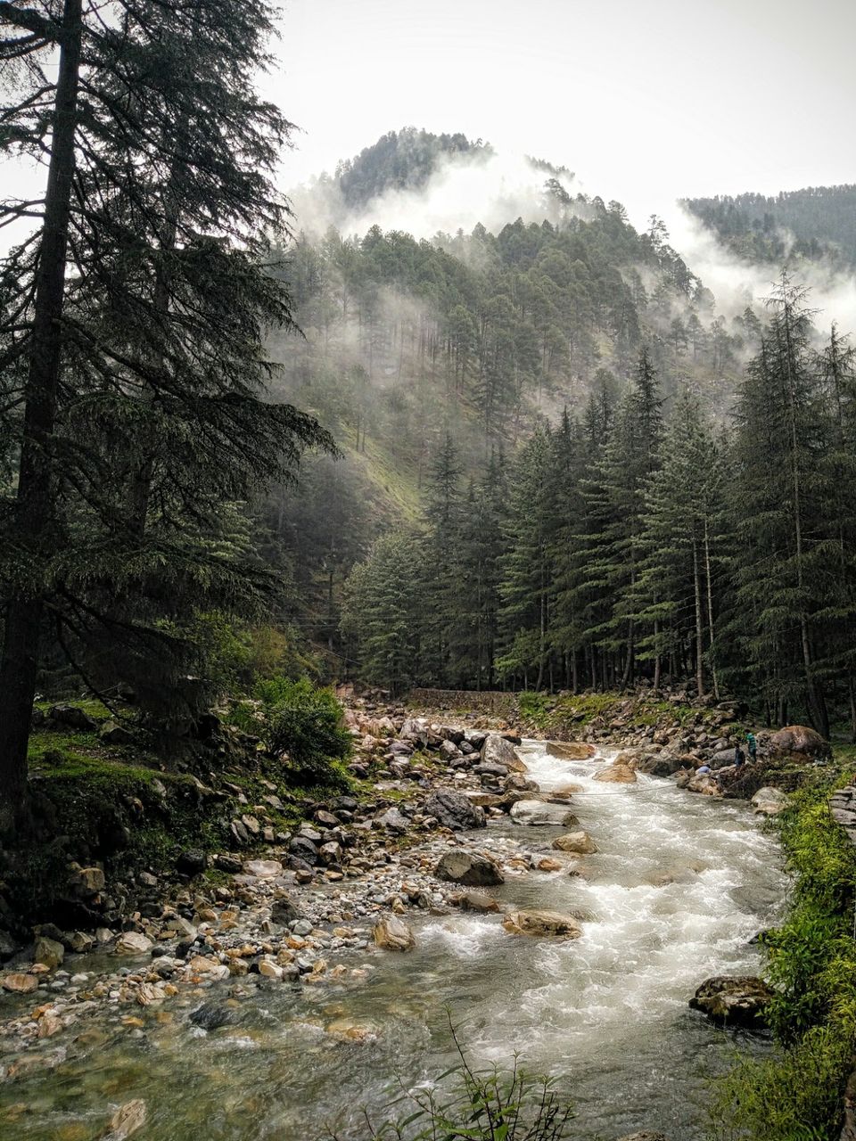 Photo of Why You must visit this Mystical Valley of Gods (Parvati Valley) this Monsoon 16/21 by Sravan Yadav