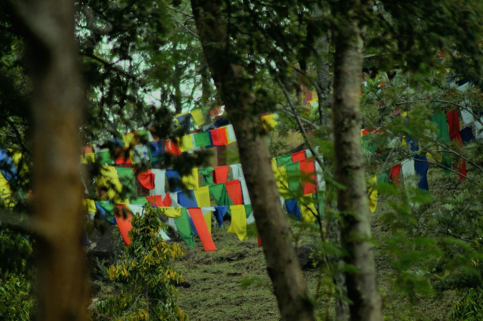 Photo of Dhondenling Tibetan Settlement, Karnataka, India by Aditya Dusange