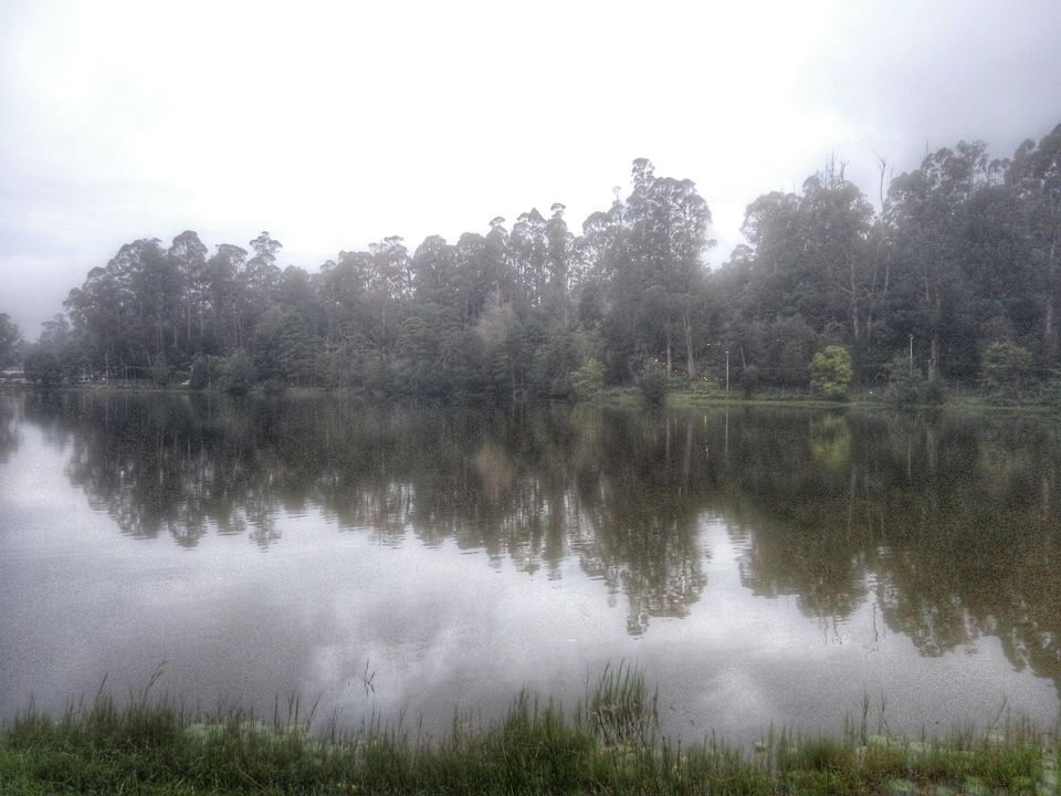 Photo of Kodaikanal ‘The Princess of hills’. A story of 3 days and 1025 kms: Part 2 1/3 by Aditya Dusange
