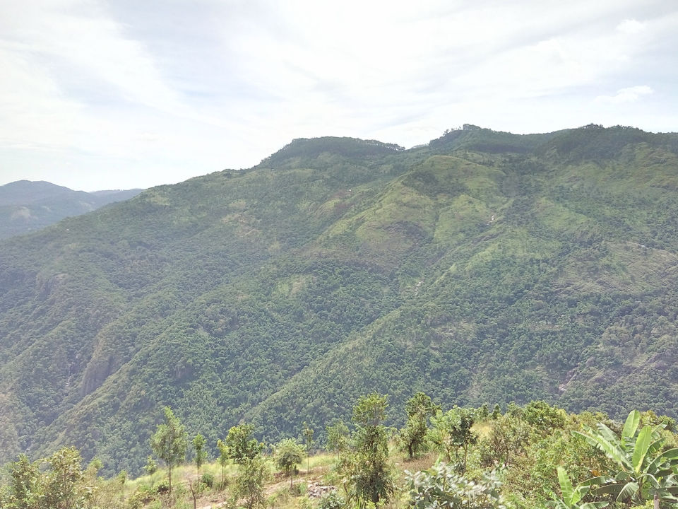 Photo of Kodaikanal ‘The Princess of hills’. A story of 3 days and 1025 kms: Part 4 2/4 by Aditya Dusange
