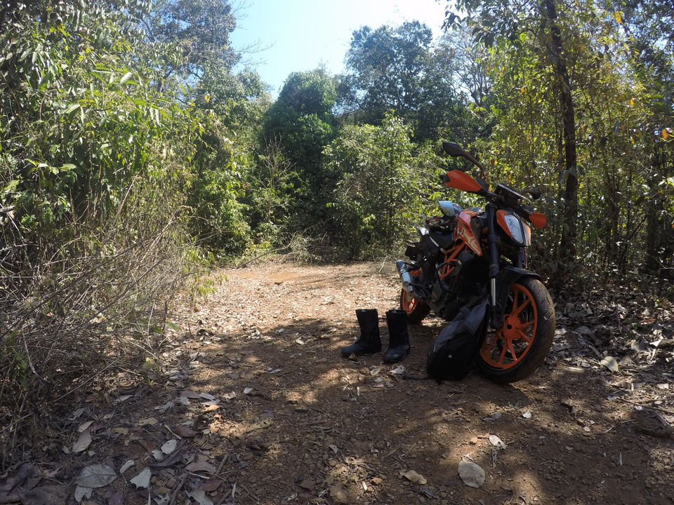 Photo of Yana, Karnataka, India by Aditya Dusange