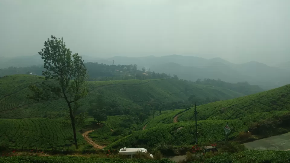 Photo of Munnar, Kerala, India by Bennet B