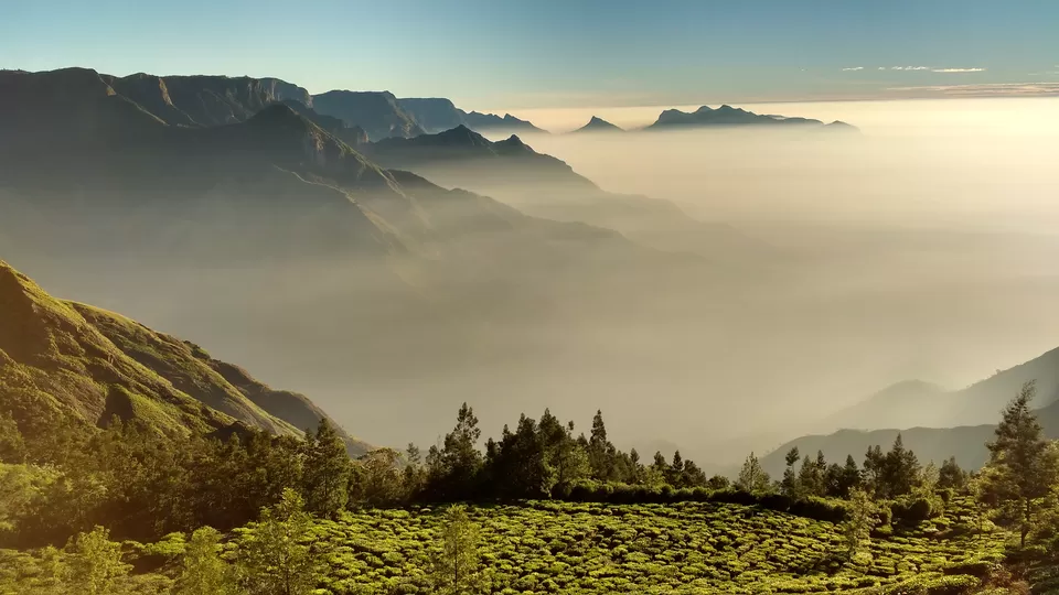 Photo of Kolukkumalai View Point, Kottagudi, Tamil Nadu, India by Bennet B