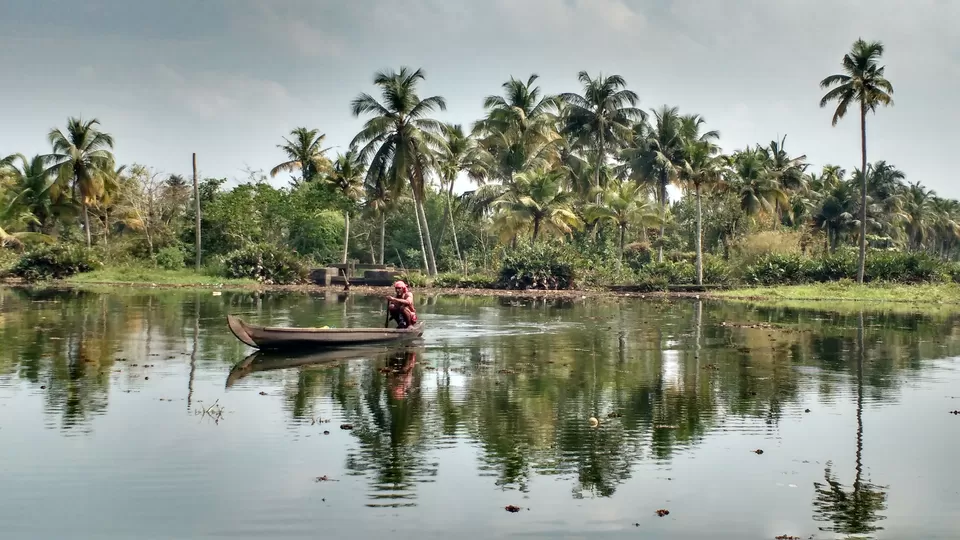 Photo of Muvattupuzha, Kerala, India by Bennet B