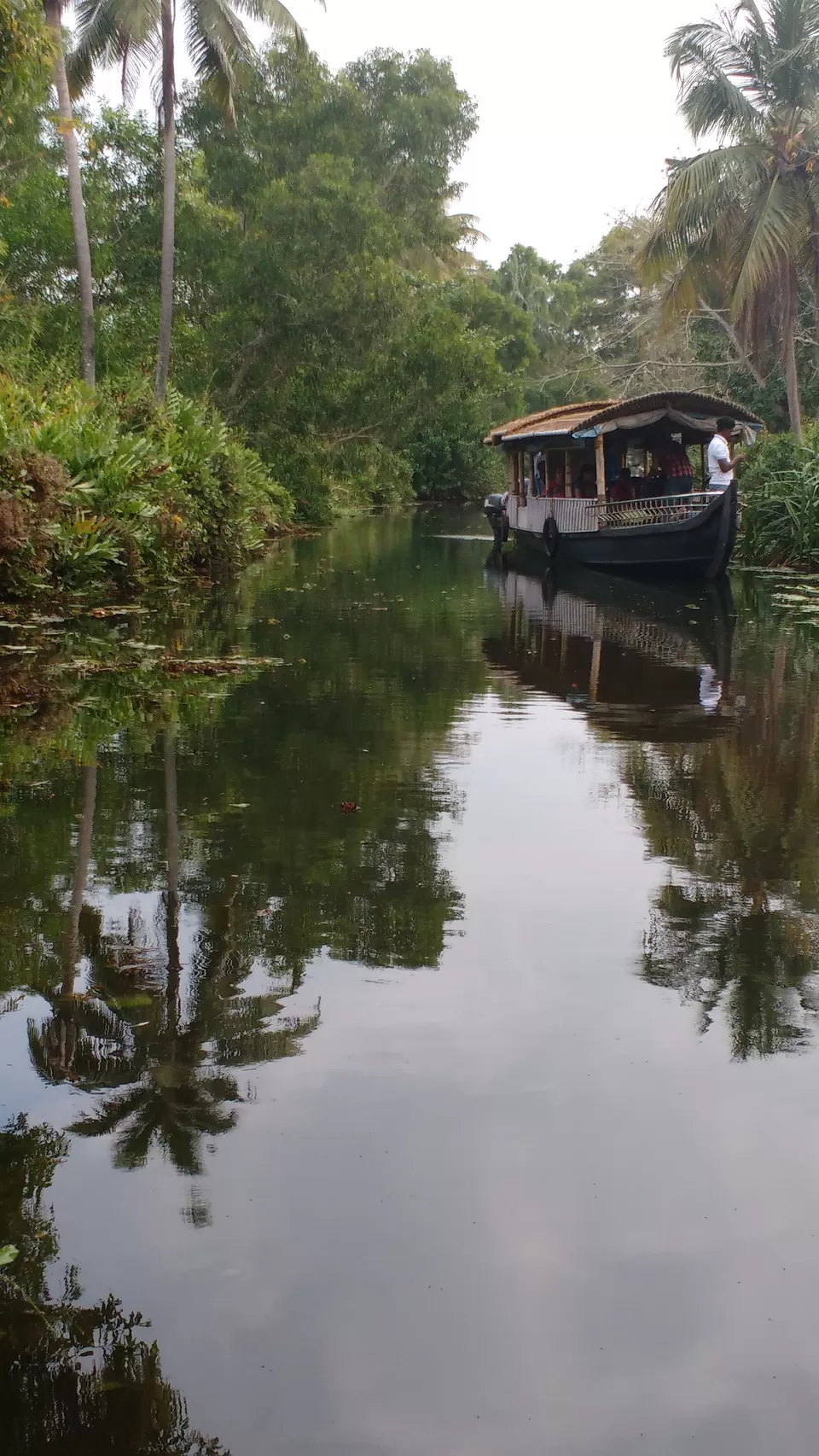 Photo of Muvattupuzha River, Kerala, India by Bennet B