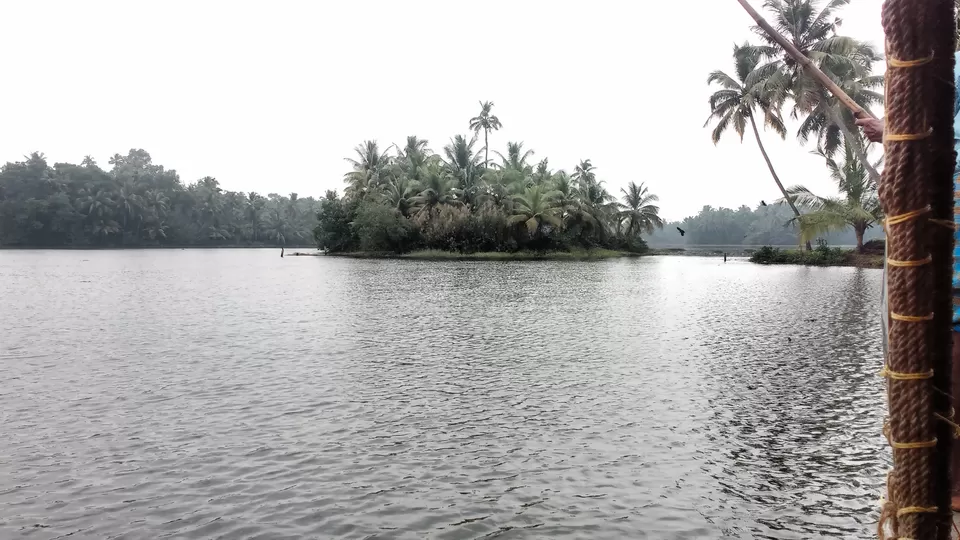 Photo of Muvattupuzha, Kerala, India by Bennet B