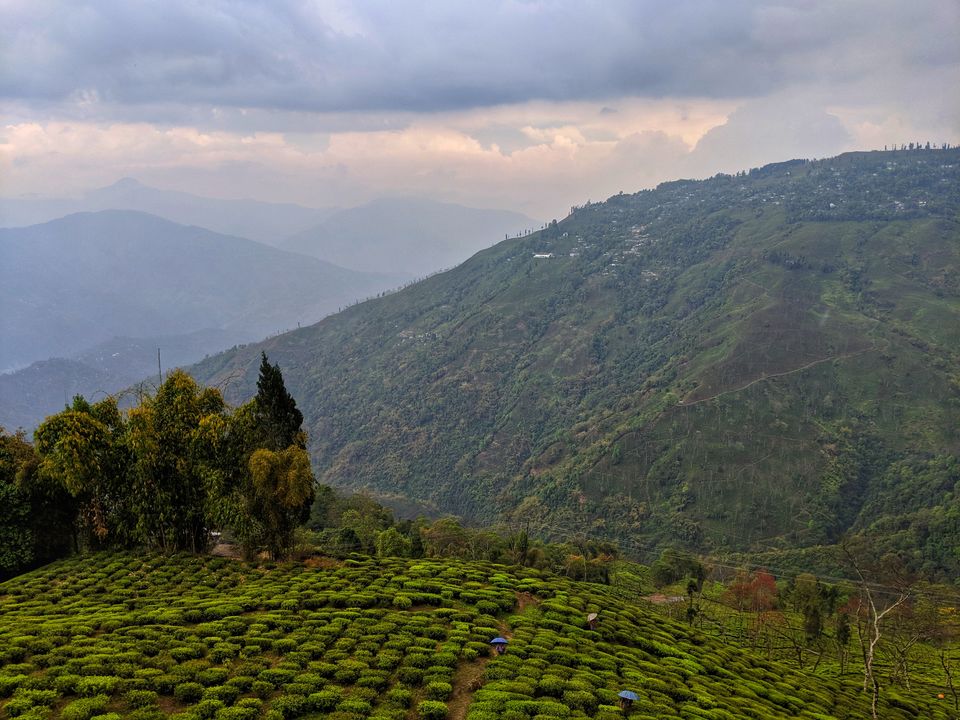 Photo of A detour to Darjeeling by Shruti Pendharkar